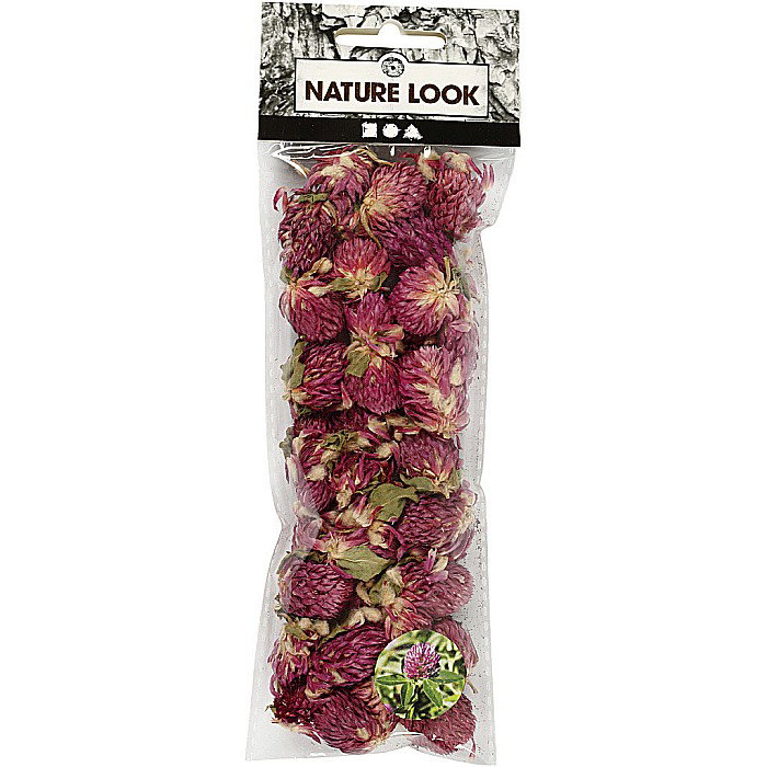 CC FLORI NATURALE USCATE TRIFOI ROSU 709502 [2]