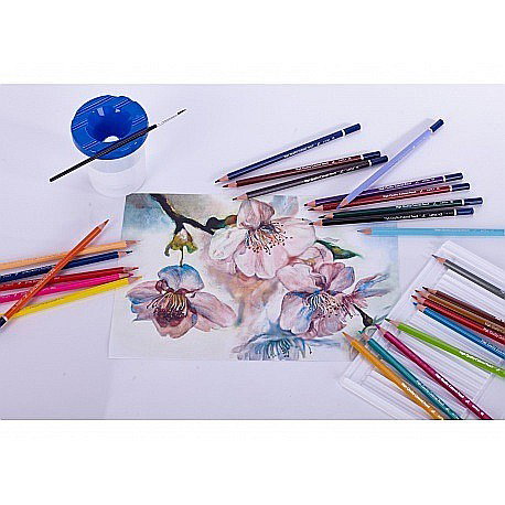 AS CREIOANE COLORATE 12/SET AQUARELL ASTRA 312110004 [4]