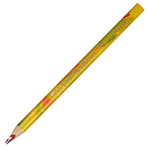 AS CREION ASTRA MULTICOLOR 312118004 [1]