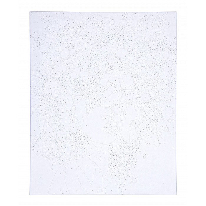 AS PANZA PICTURA PE NUMERE 40*50CM CU VOPSELE SI PENSULE, PORTRET IN FLORI 801022904 [6]