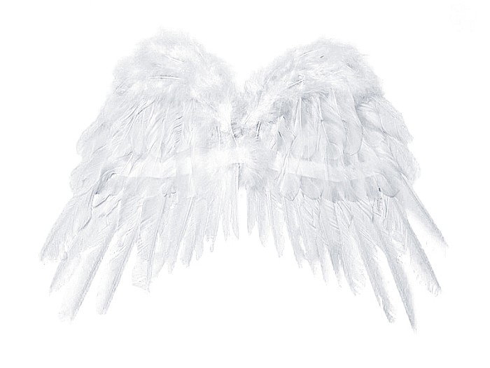 PD ARIPI, Angel's wings, white, 53 x 37cm SK1-008 [1]