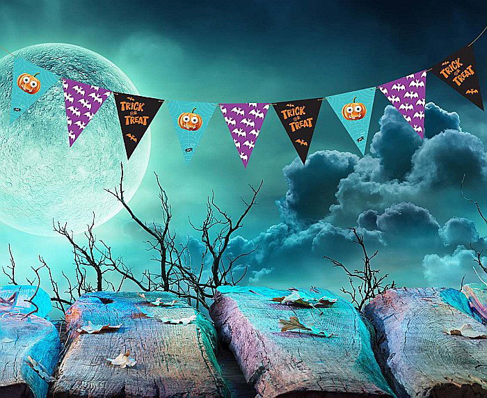 GOD GHIRLANDA DIN HARTIE Boo paper flag garland, 250cm 9 flags RV-GPFB [1]