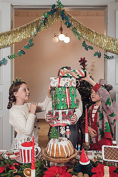 PD GHIRLANDA HARTIE Christmas, Mistletoe mix, 2m GL31 [2]