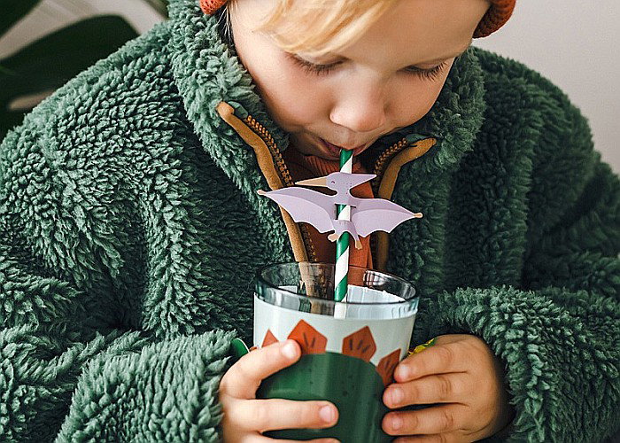 PD PAIE DIN HARTIE PENTRU BAUTURI Pterodactyl, 19.5cm 6/set NSL1 [2]
