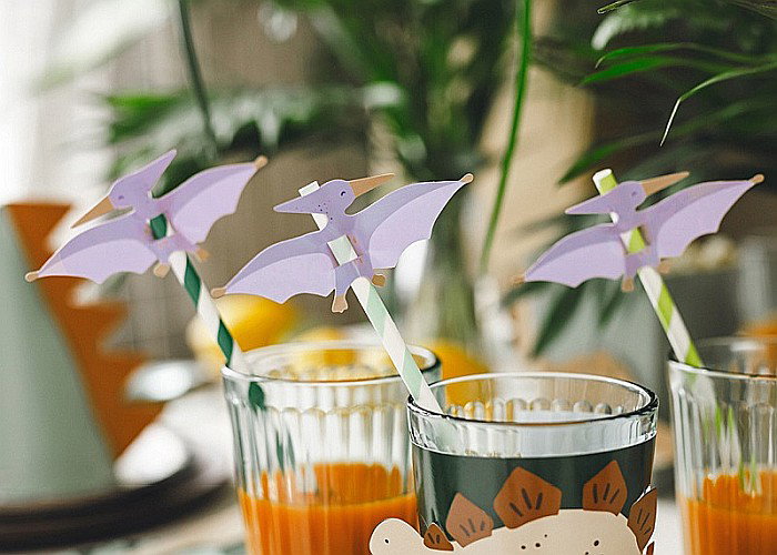 PD PAIE DIN HARTIE PENTRU BAUTURI Pterodactyl, 19.5cm 6/set NSL1 [3]