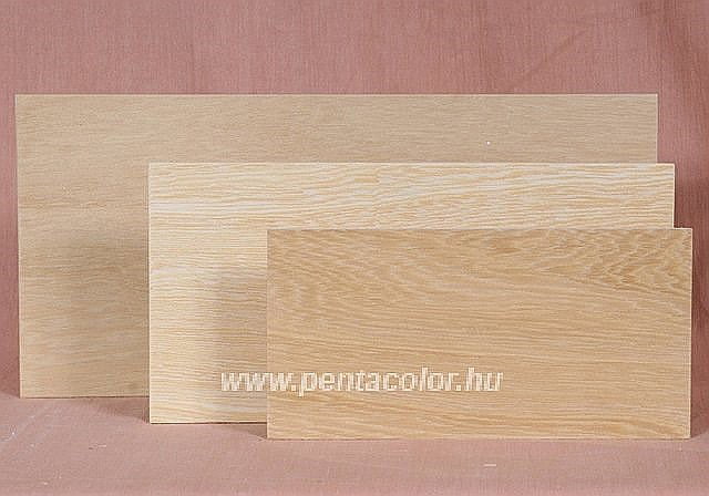 CA PLACAJ TRAFORAJ 16*32 [1]