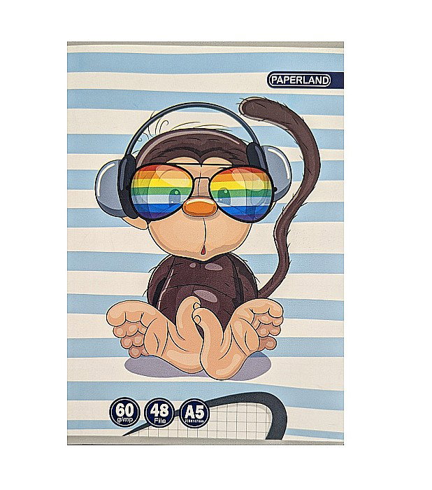 CAIET A5 48 FILE 60g PATRATELE 24000001 [1]