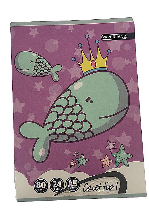 CAIET TIP I A5 24F 80GR  24000196 [2]