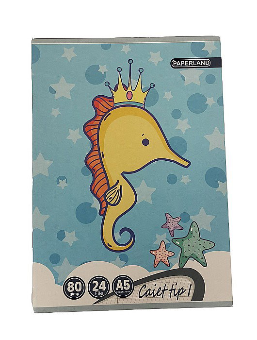 CAIET TIP I A5 24F 80GR  24000196 [4]