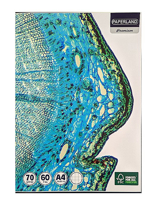 CAIET A4 60 FILE 70g PATRATELE PREMIUM 24800005 [1]
