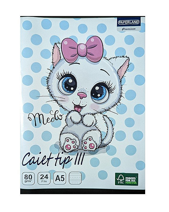 CAIET TIP III A5 24F 80G  24000198 [1]