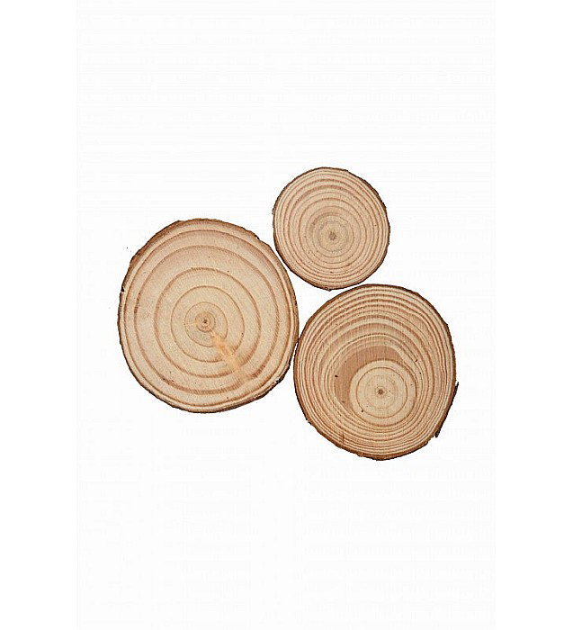 LEG ACCESORII CREATIE RONDELE LEMN 35-60mm 3/SET A1215 [1]