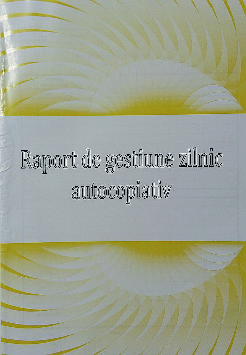 RAPORT GESTIUNE ZILNIC AUTOCOPIATIV A4 [1]
