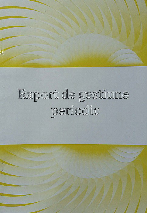 RAPORT GESTIUNE PERIODIC A4 [1]