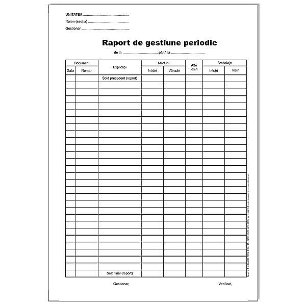 RAPORT GESTIUNE PERIODIC A4 [2]