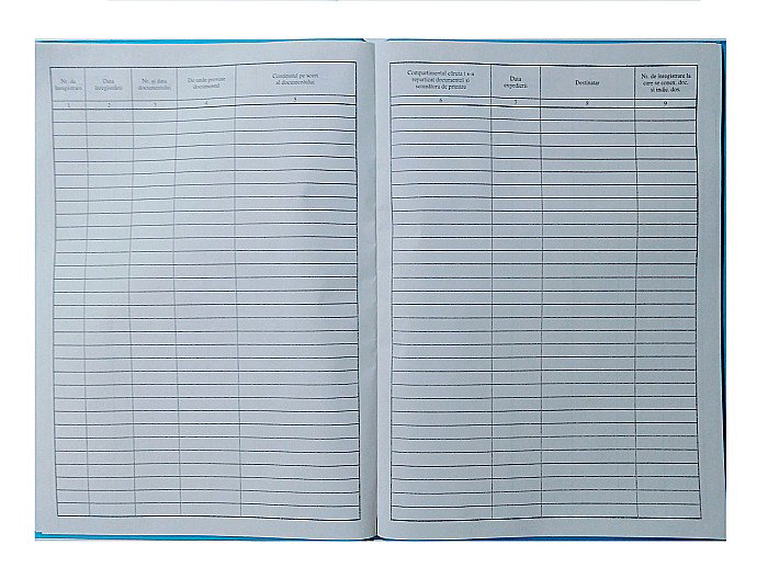REGISTRU INTRARE IESIRE VERTICAL A4 tp000050 [2]