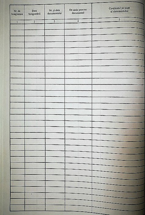 REGISTRU INTRARE IESIRE VERTICAL A4 tp000050 [3]