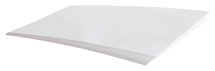 BOB HARTIE CERATA COALA 70X100 cm [1]