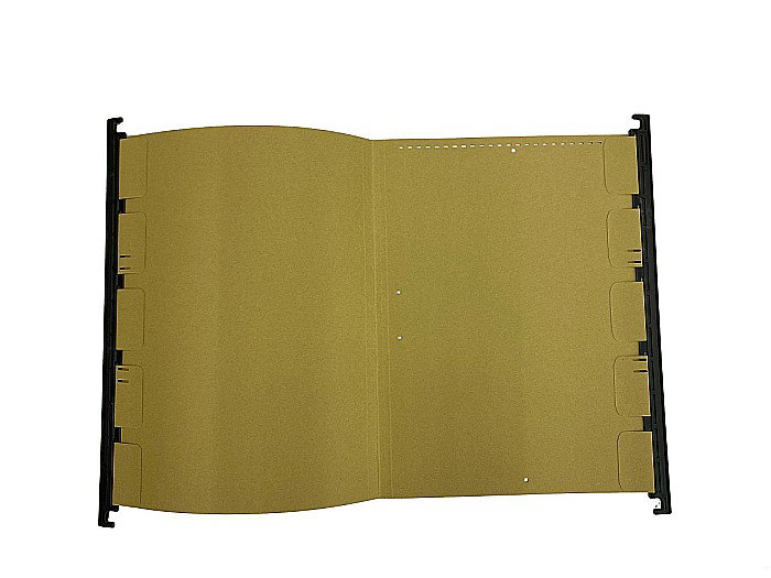 DOSAR CARTON SUSPENDAT 12200006 [2]