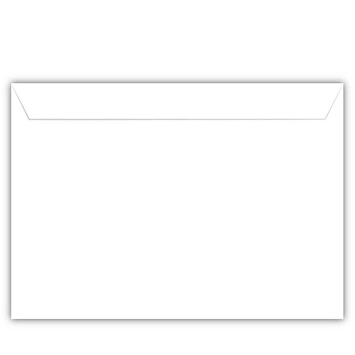 EU PLIC C5 25/SET ALB 80G SILICON 23170-promo [3]