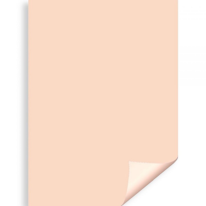 CARTON COLOR IPB 50*70CM 200GR SEPIA PN436 [1]