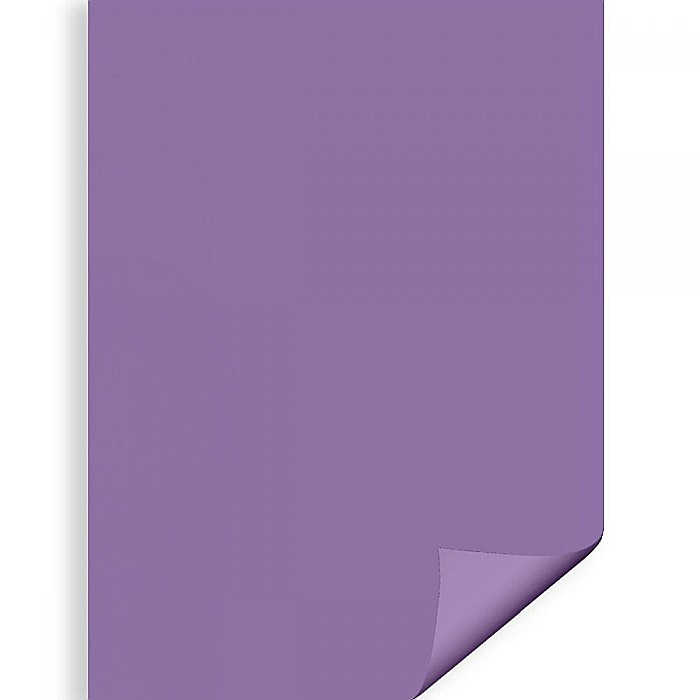 CARTON COLOR IPB 50*70CM 200GR MOV PN442 [1]