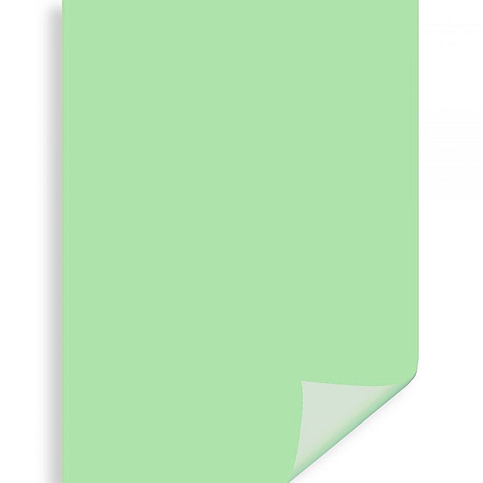 CARTON COLOR IPB 50*70CM 200GR VERDE PN446 [1]