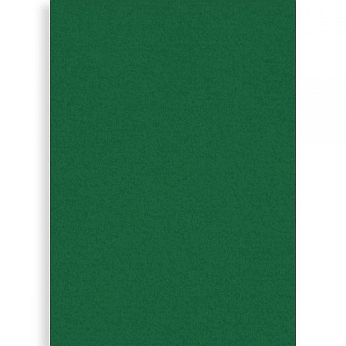 PASLA IPB 40*60CM 1MM VERDE INCHIS PN680 [1]