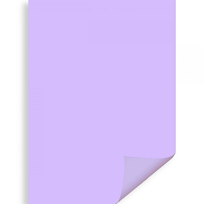 CARTON COLOR IPB 50*70CM 200GR VIOLET PN455 [1]
