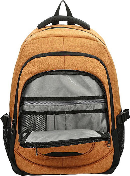 EB RUCSAC LAPTOP HAMBURG 17 inch RUGINIU 62125019 [5]