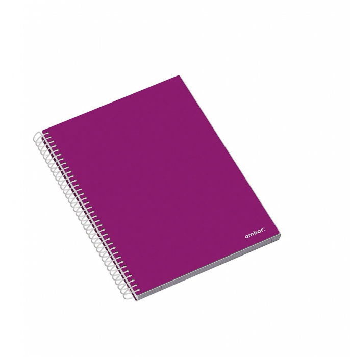 CAIET A5 100F SPIRA 5 SUBIECTE AMBAR SCHOOL PATRATELE 163504 [6]