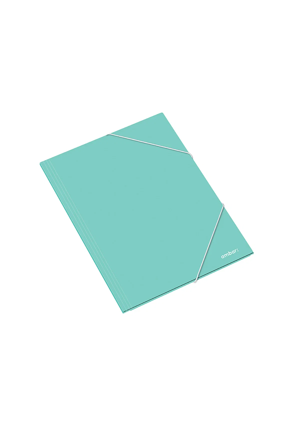 AM DOSAR CARTON CU ELASTIC A4+  DIVERSE CULORI 163818 [3]