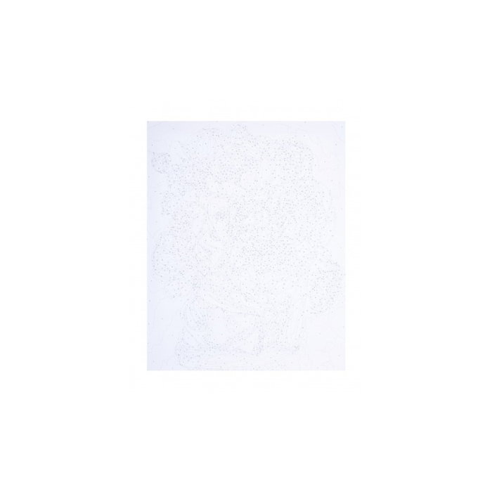 PANZA PICTURA PE NUMERE 40*50CM CU VOPSELE SI PENSULE, BUJORI 801022906 [2]