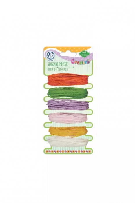 AS SNUR RAFIE COLOR 6/SET*5M 335118002 [1]
