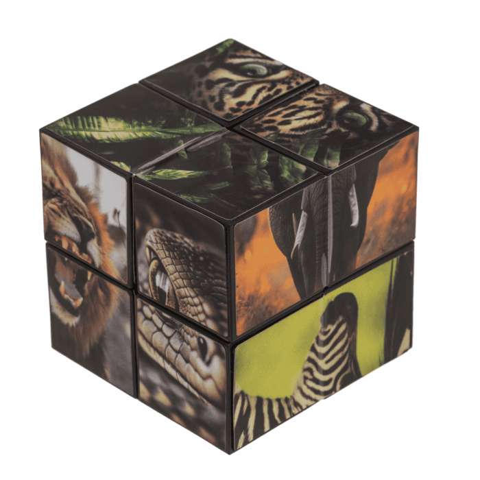 BLU CUB MAGIC 6*6*6CM ANIMALE SALBATICE 59/2249 [5]