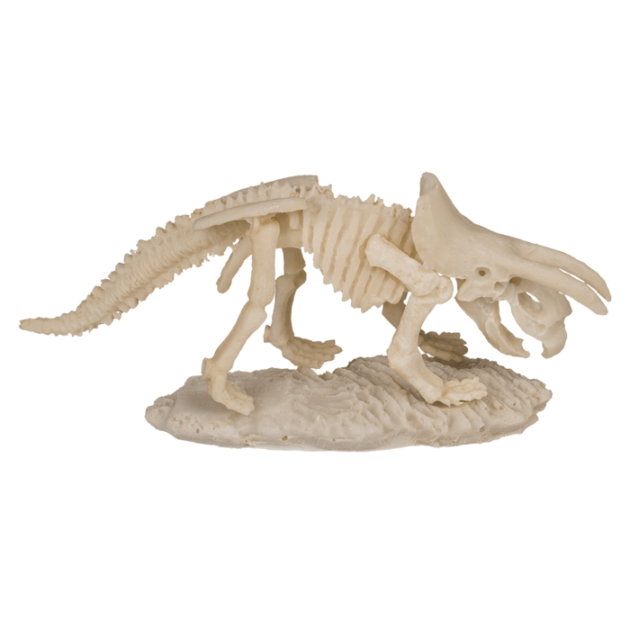 BLU KIT DE EXCAVARE SCHELET DINOZAUR 4.5*18CM 11/2003 [5]