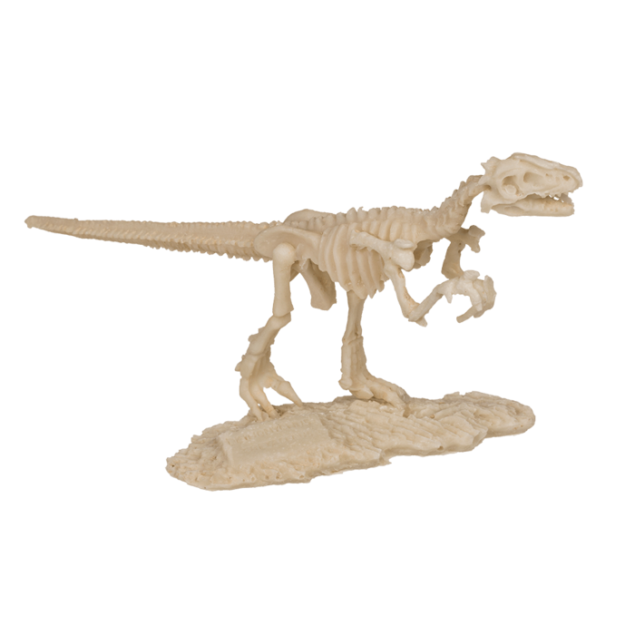 BLU KIT DE EXCAVARE SCHELET DINOZAUR 4.5*18CM 11/2003 [4]