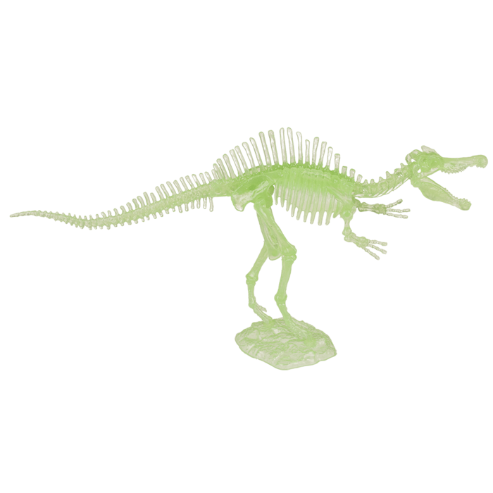 BLU MINI KIT ASAMBLARE SCHELET DE DINOZAUR 10CM GLOW IN THE DARK 59/2194 [4]