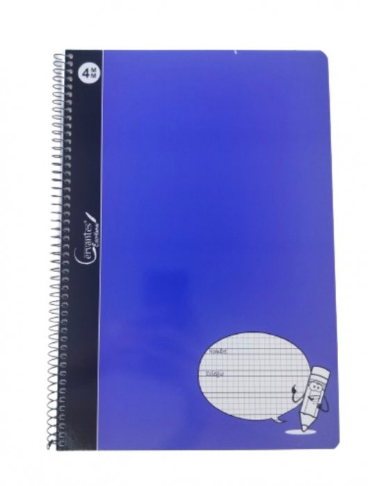 CAIET A4+ IPB 80F, SPIRA, COPERTA CARTON, PATRATELE 4*4MM PB211 [7]
