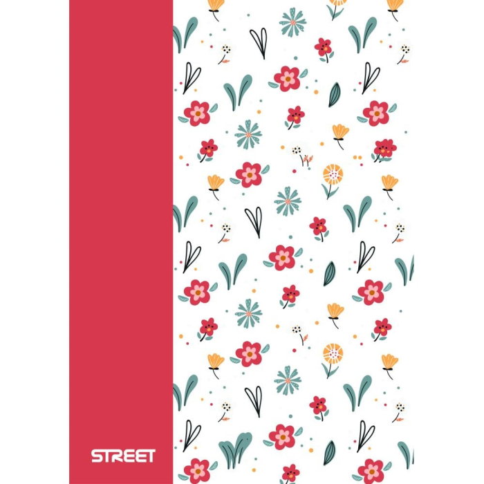 CAIET A4 PP 42 FILE, VELIN, STREET BLOSSOM 67376 [1]