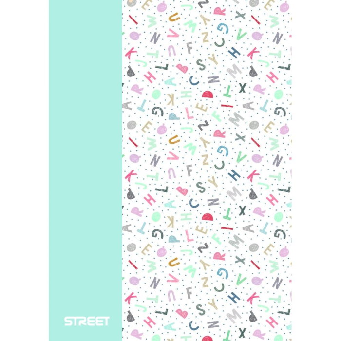 CAIET A4 PP 42 FILE, VELIN, STREET BLOSSOM 67376 [5]