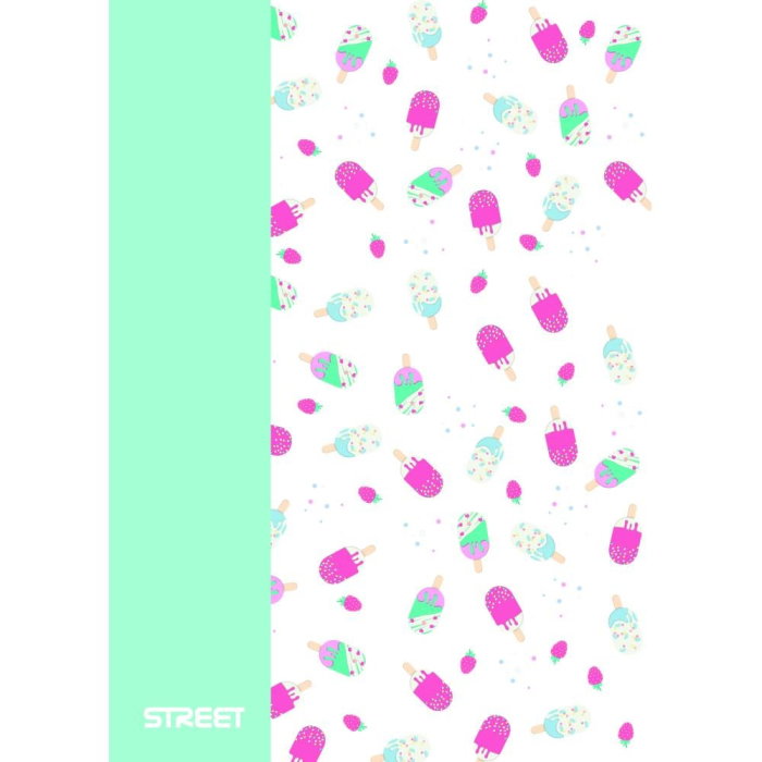 CAIET A4 PP 42 FILE, VELIN, STREET BLOSSOM 67376 [2]