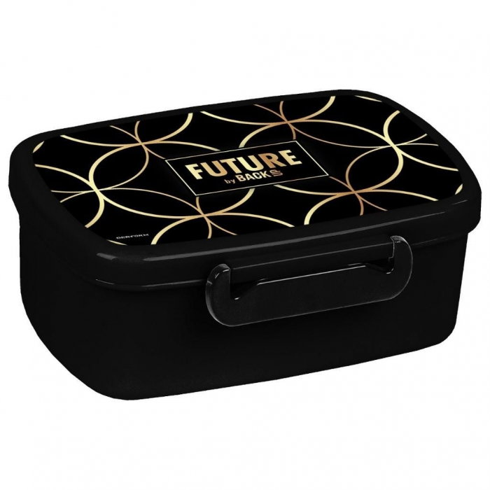 DE CUTIE ALIMENTE BACKUP 16.5X10X7CM FUTURE NEGRU-AURIU SADF39 [1]