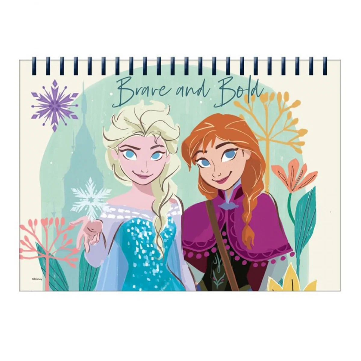 SET DE COLORAT 31 PIESE 54x47CM FROZEN II 564516 [6]