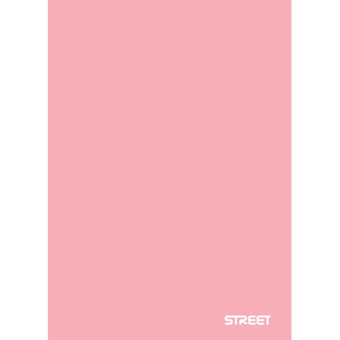 CAIET A4 PP 42 FILE, LINII, STREET PASTEL 63330 [2]