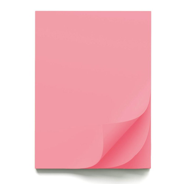 CARTON COLOR 70x100CM 220GR ROZ 56818 [1]