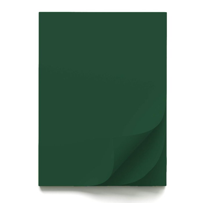 CARTON COLOR 70x100CM 220GR VERDE BRAD 56833 [1]