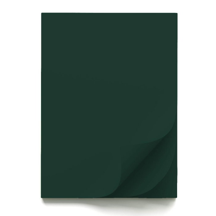 CARTON COLOR 70x100CM 220GR VERDE INCHIS 56834 [1]