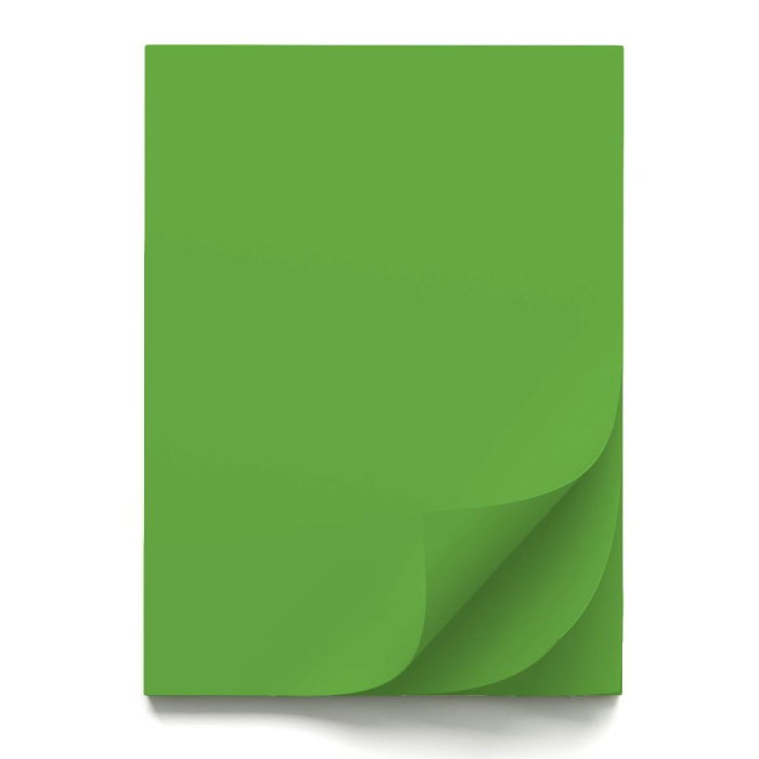 CARTON COLOR 70x100CM 220GR VERDE INTENS 56830 [1]