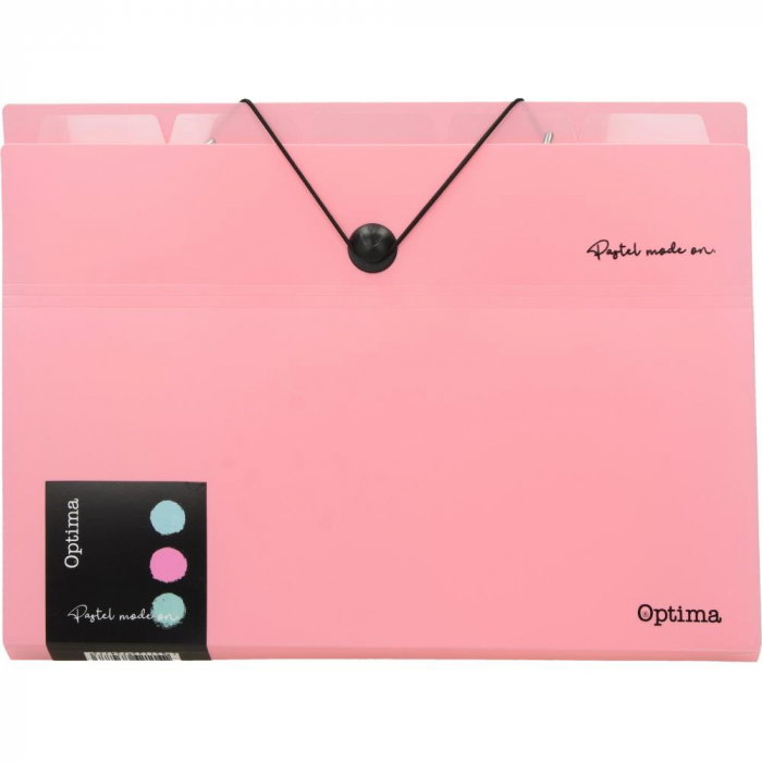 EU MAPA A4 PP 5 COMPARTIMENTE CU ELASTIC, PASTEL 120391 [2]